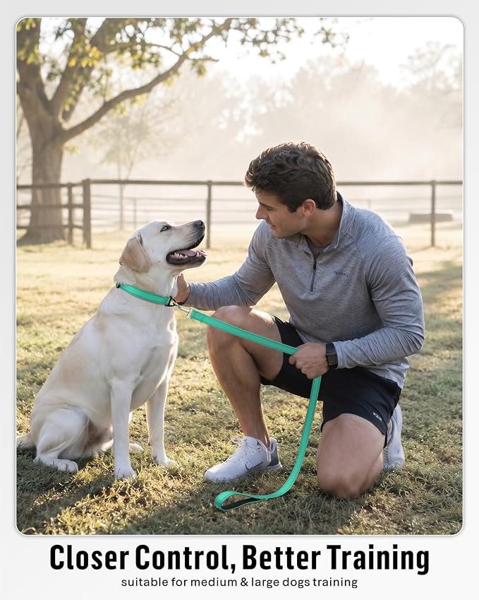 FunTags Reflective Nylon Dog Leash for Medium & Large Dogs, 4FT Training | Comfortable Padded Grip, Stay Safe at Night, 360° Anti-Tangle Swivel, for Dog Parks & Trails, Turquoise - Image 5