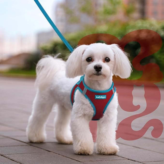 rabbitgoo Dog Harness Small Sized and Leash Set, Step in Soft Vest | Breathable Mesh, Easy Wear with Hook & Loop, Light and Reflective for Walking, Multi-colored, Red & Teal, M - Image 8