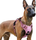 rabbitgoo Dog Harness for Large, Updated Easy On & Off with 3 Buckles | No Pull No Choke, Walking with 2 Clips and Handle, Adjustable Soft Reflective, Floral Pink, X-large by rabbitgoo