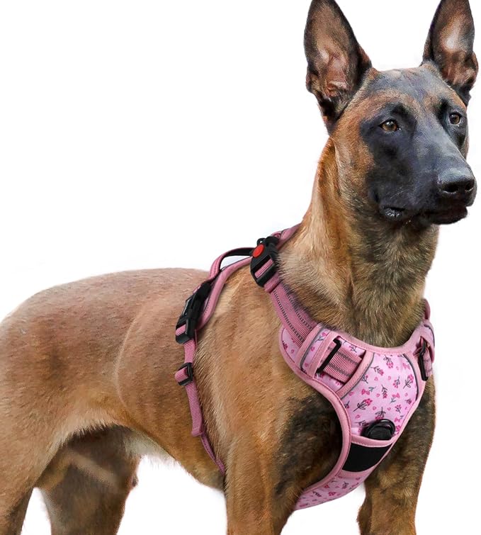 rabbitgoo Dog Harness for Large, Updated Easy On & Off with 3 Buckles | No Pull No Choke, Walking with 2 Clips and Handle, Adjustable Soft Reflective, Floral Pink, X-large by rabbitgoo