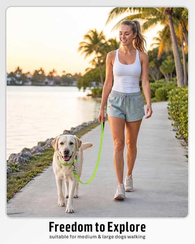 FunTags Reflective Nylon Dog Leash for Medium & Large Dogs, 6FT for Walks | Comfortable Padded Grip, Stay Safe at Night, 360° Anti-Tangle Swivel, for Dog Parks & Trails, Green - Image 5