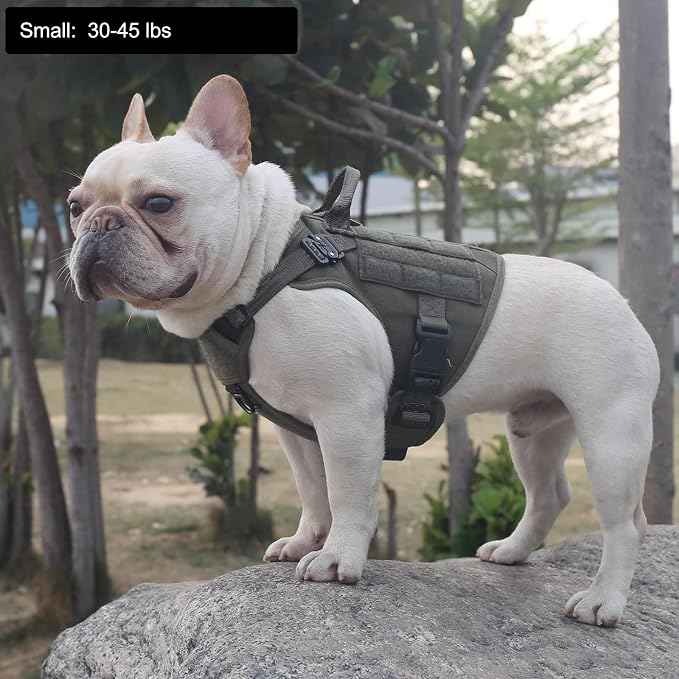 ICEFANG Tactical Dog Harness for Small Dogs,Reflective No Pull Dog Vest | with Control Handle,Adjustable,Front Hook,2 Leash Clips,Soft Padded,MOLLE Panel,Green,Small - Image 2