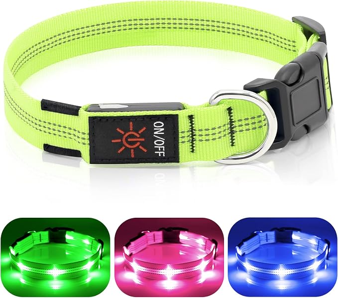 Weesiber Light Up Dog Collars - Rechargeable LED Collar - Reflective Adjustable Dog Lights for Night Walking (Green, Small) by Weesiber