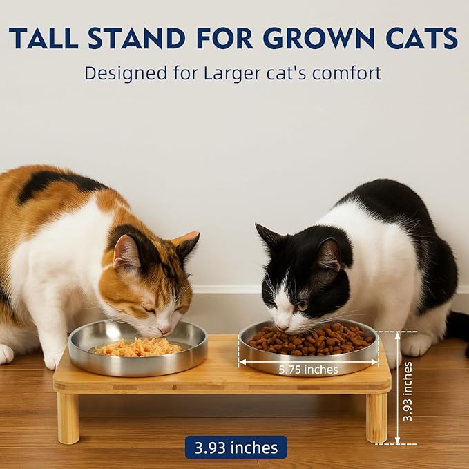 DoogCat Raised Cat Bowls, Bamboo Stand with 2 Stainless Steel Bowls | Adjustable Height, Whisker-Friendly Design, Food & Water Set, Stable Construction, Easy to Clean - Image 4