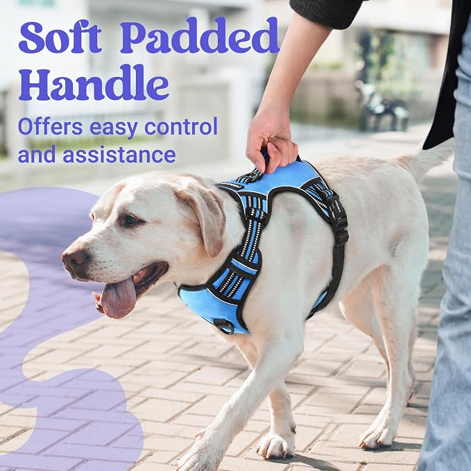 rabbitgoo Large Dog Harness, Easy Wear with 3 Buckles and Lift Handle | No Pull with Front Clip for Walking, Adjustable Soft Padded, Reflective, Easy Control, Light Blue, X-Large - Image 2