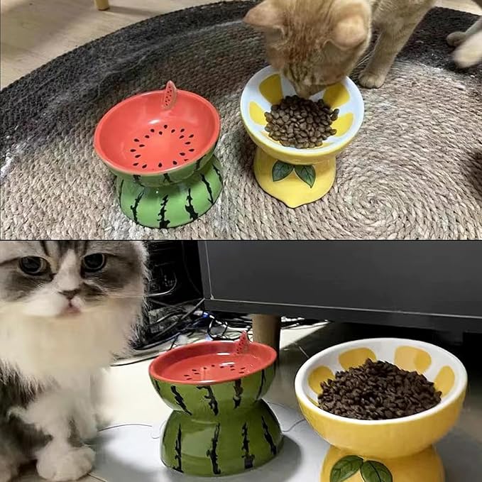 2PCS Ceramic Elevated Cat Bowls Raised Cat Food and Water Bowl Dishes Set | 5.2in Tilted Anti Vomiting Slow Feeder Cat Dishes, Whisker Friendly for Indoor kitten,Cute Watermelon & Lemon Design - Image 7