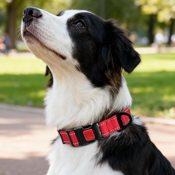 Taglory Reflective Dog Collar for Medium Dogs, Soft and Safe for Daily Walk | Soft Neck Cushioning, Adjustable 14-20 in, Sturdy Webbing Withstands Strong Pullers, Zinc Alloy D-Ring for Leash and ID Tags - Image 2
