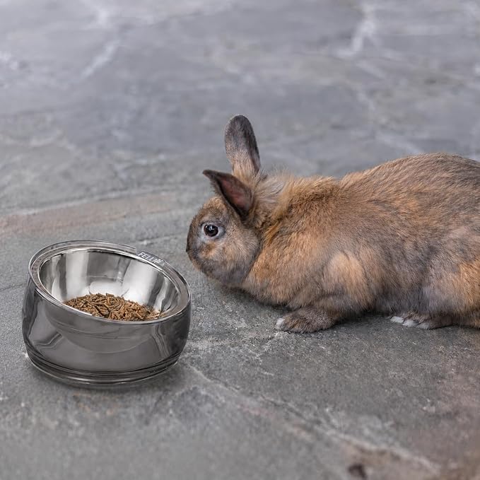 Felli Oblik 15° Tilted Small Animal Bowls for Pet Food & Water 6 oz Stainless Steel Dish Removable, Slanted Metal Plate Feeder for Kitten Puppy Rabbit Bunny Guinchilla Pig (0.75 Cups, Smoky) - Image 5