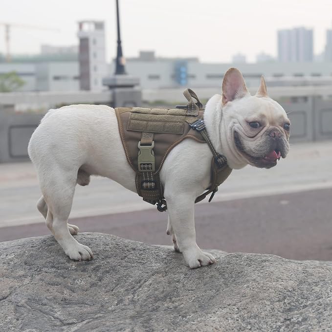 ICEFANG Tactical Dog Harness for Small Dogs,Reflective No Pull Dog Vest | with Control Handle,Adjustable,Front Hook,2 Leash Clips,Soft Padded,MOLLE Panel,Brown,Small - Image 2