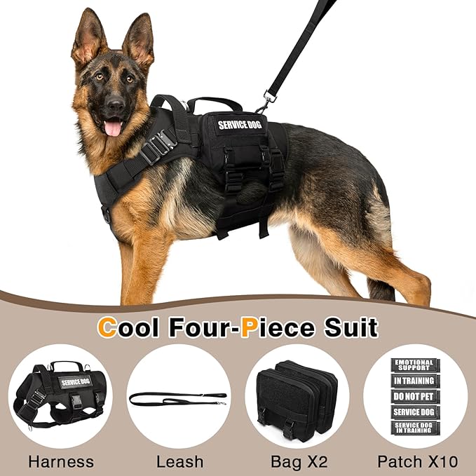 Tactical Dog Harness with Dog Leash, Service Working MOLLE Vest with 10 Pet Patches for Large Dog, No Pull Military Harness and Backpack for Training Hunting Walking - Image 2