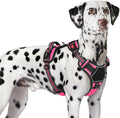 Eagloo Dog Harness No Pull for Large Dogs, Easy On & Off with 3 Buckles | No Choke with Front Clip, Adjustable Fit, MOLLE System, Reflective Vest, Easy Control for Walking, Pink & Black, X-Large by GoExplorewithEagloo