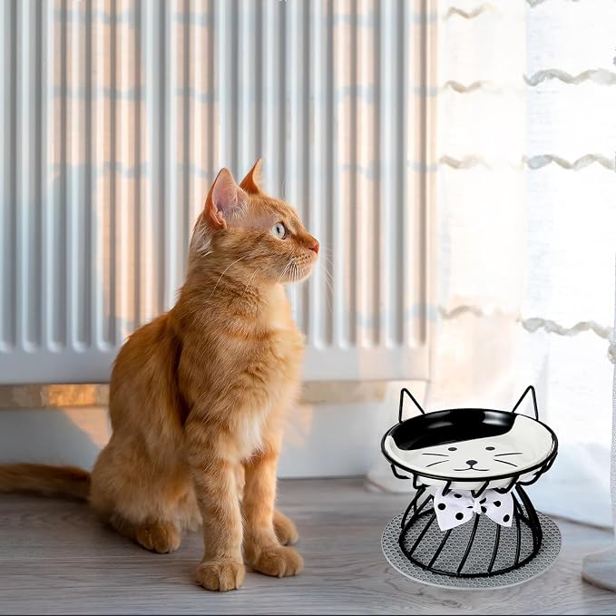 Set of 2 Elevated Ceramic Cat Bowls, Detachable, Black | Detachable Design Easy Cleaning Whisker Friendly Non-Slip Base Premium Ceramic - Image 5