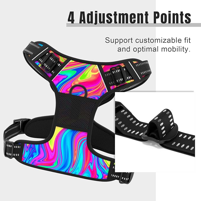 Rnivvi No Pull Dog Harness, Cute Reflective Large Sized Puppy Harness, Adjustable Soft Padded Vest for Large Dogs, Heavy Duty Pet Vest with Easy Control Handle for Walking Training, Rainbow Art - Image 3