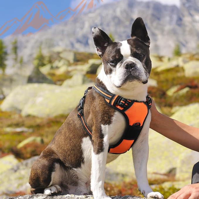 Eagloo Dog Harness for Medium Sized Dogs, No Pull Vest with 2 Leash Clips | No Choke with Handle, Adjustable Comfort Fit, Reflective Strips, Easy Walking Control, Orange, Medium - Image 9