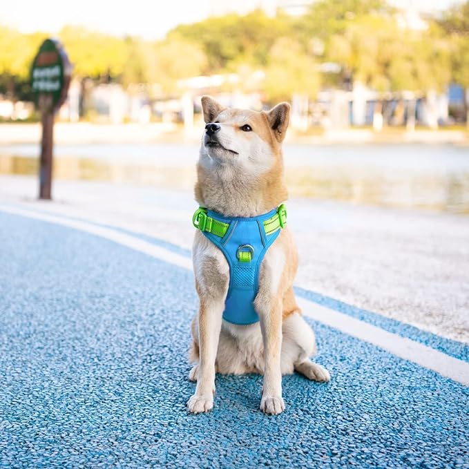 No Pull Dog Harness, Unique Colors Reflective Adjustable Dog Vest | with Soft Training Handle Metal Clips for Small Medium Large Dogs (Blue Base & Green Straps,XL) - Image 3