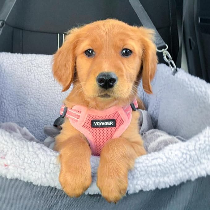 Voyager Step-in Flex Adjustable Dog Harness - Pink, Small | 15 - 18" in Chest, Fully Adjustable, Reflective Bands, All Weather Breathable Air Mesh, Lightweight, Fast Drying - Image 7