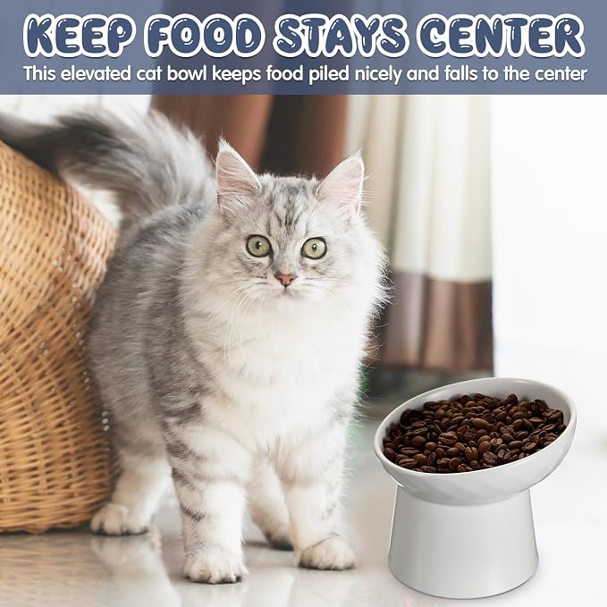 4 Pcs Ceramic Raised Cat Bowls, Elevated Tilted Cat Bowl for Food Water, Stress Free, Backflow Prevention, Dishwasher Microwave Safe, Feeder Dish for Indoor Kitten, Small Dogs(White) - Image 5