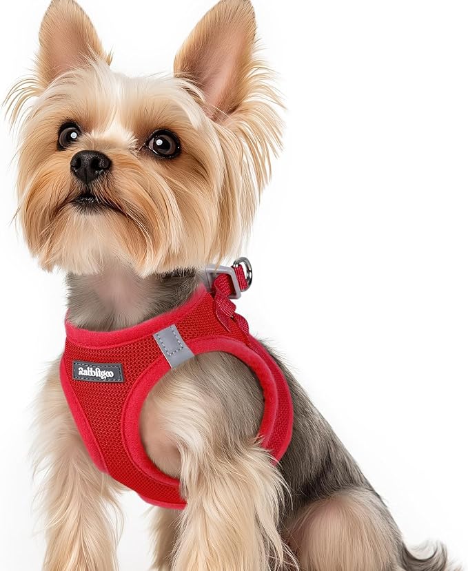 rabbitgoo Step-in Small Dog Harness, Puppy Vest for Small Sized Pet | Easy Put on and off, Lightweight, Soft, Breathable Quick-Dry Air Mesh for Comfortable Secure Walking, Red XS by rabbitgoo
