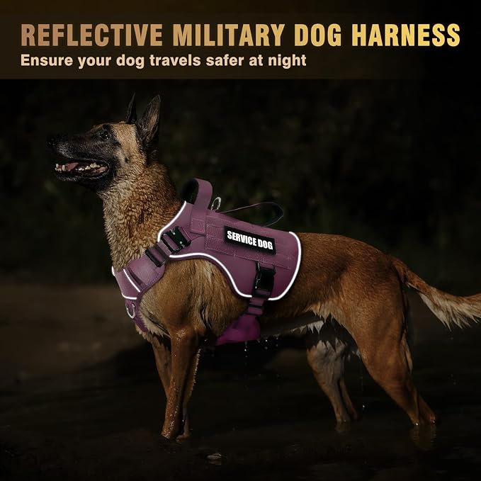 2X Metal Buckle Service Working MOLLE Dog Vest with 10 Pet Patches | Tactical Dog Harness for Large Dog, No-pull Military Working Vest for Training Hunting Walking，2x D Rings for Leash Clip - Image 3