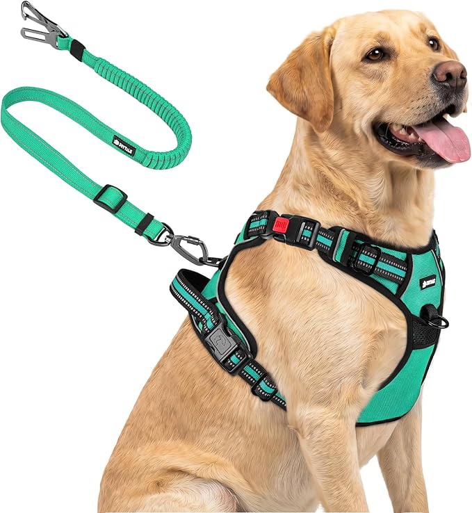 Joytale No Pull Dog Harness & Seat Belt, Easy On 3-Buckle, L, Teal | Front Clip Reduces Pulling, Escape-Resistant Design, Adjustable Fit, Soft Padding for Comfort, Secure Tether for Safer Travel by Joytale