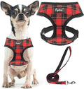 PUPTECK Small Dog Harness and Leash Set No Pull for XS XXS Sized Dogs Puppy | Escape Proof No Choke Pet Cat Adjustable Soft Padded Walking Vest by PUPTECK
