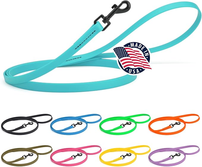 Dogline Biothane Waterproof Dog Leash Strong Coated Nylon Webbing with Black Hardware Odor-Proof Easy to Clean High Performance for Small or Large Dogs Made in USA 4 or 6 ft Lead, Sky Blue by Dogline