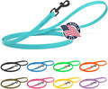 Dogline Biothane Waterproof Dog Leash Strong Coated Nylon Webbing with Black Hardware Odor-Proof Easy to Clean High Performance for Small or Large Dogs Made in USA 4 or 6 ft Lead, Sky Blue by Dogline