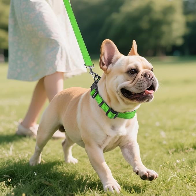 Joytale Reflective Dog Collar, Adjustable Neoprene Padded, Green S | Breathable Nylon for Small Dogs, No Chafing on Daily Walks and Training, Gentle on Neck, Secure Metal D-Ring, Night Safety - Image 6