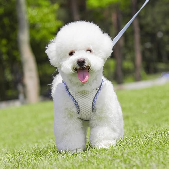 Tiny Dog Harness, All Weather Diamond Mesh, Reflective Stripes | No Pull Step in Lightweight Vest Harness for Puppy, Small Dogs and Cats White XXXS - Image 4