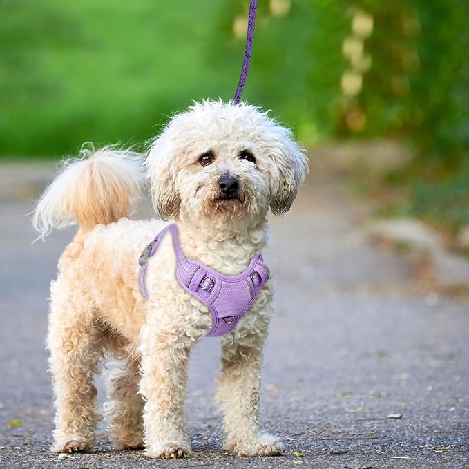 BARKBAY No Pull Dog Harness Large Reflective Dog Harness with Front Clip and Easy Control Handle for Walking Training Running with ID tag Pocket(Violet Purple,S) - Image 9