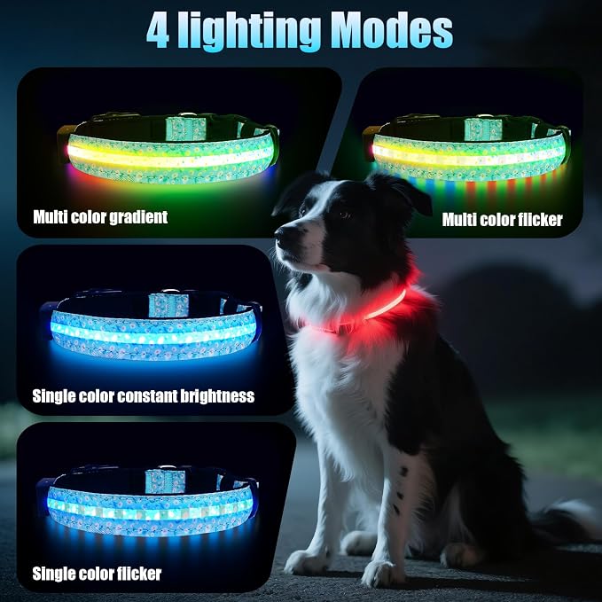 LED AirTag Dog Collar - Brightest Light Up Dog Collars, Daisy L | IP68 Waterproof Air Tag Dog Collar Holder, 1,600 Feet of High Visibility, Magnetic Charging, Dog Lights for Night Walking - Image 2