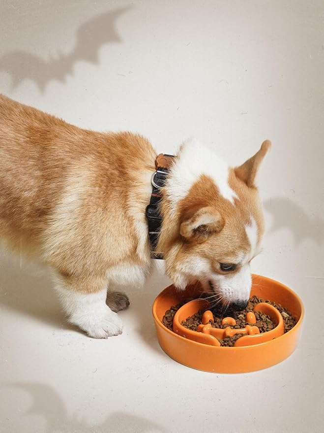 LE TAUCI Ceramic Slow Feeder Dog Bowl for Small Medium Dogs & Puppy, 1.5 Cup Puzzle Food Dish to Slow Down Eating, Pumpkin Orange - Image 2