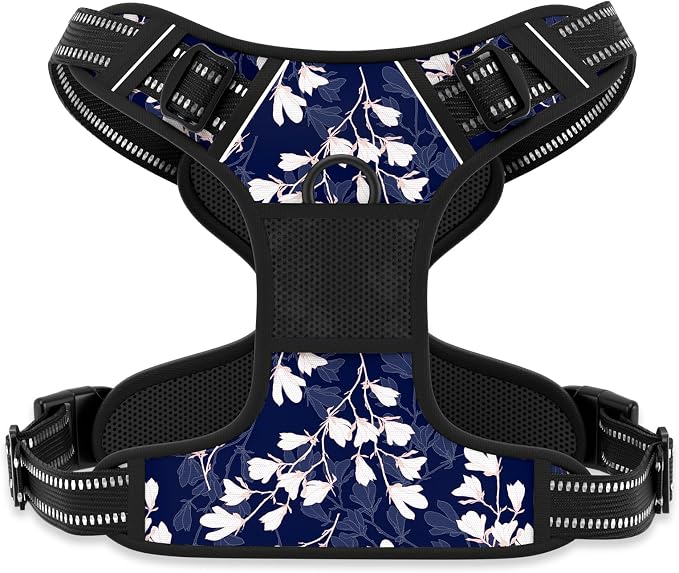 Rnivvi No Pull Dog Harness, Cute Flower Reflective X-Small Sized Puppy Harness, Adjustable Soft Padded Vest for Small Dogs, Cats, Heavy Duty Pet Vest with Easy Control Handle for Walking, Blue White by Rnivvi