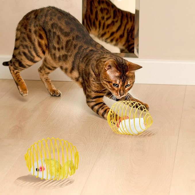 Jecery 5 Pcs Cat Toys Spring,Yellow Mouse,Yellow | Interactive Metal Cat Toy, Stretchable Rolling Ball, for Indoor Cats, Colorful Playful Coils, Kitten Pet Supplies - Image 6
