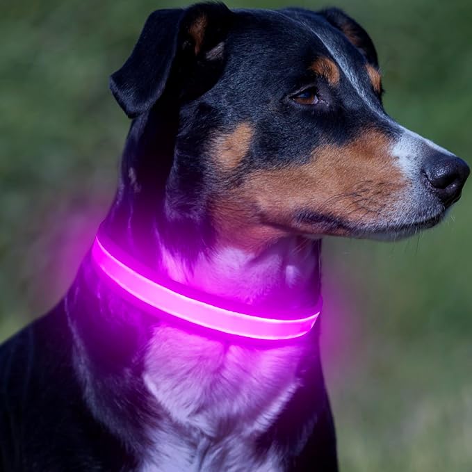 VIZPET LED Dog Collar, Light up Dog Collar Adjustable Safety Glowing Collar | USB Rechargeable Super Bright Light Collars for Dogs (Purple, Large[18.89-23.62 inch/48-60cm]) - Image 6