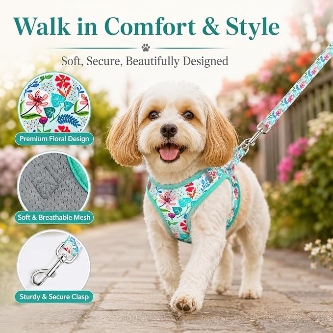 Step in Dog Harness Leash Set- All Weather Reflective No-Pull Floral Pattern Padded Mesh Vest Harness for Cats Puppy Extra-Small Small Medium Large Dogs - Verdure Flower - XS - Image 3