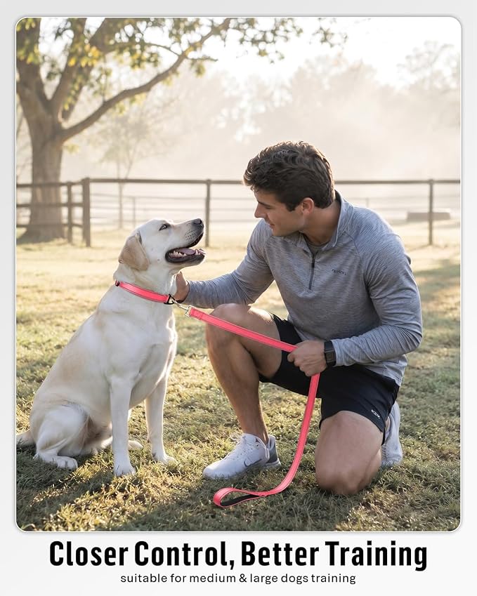 FunTags Reflective Nylon Dog Leash for Medium & Large Dogs, 4FT Training | Comfortable Padded Grip, Stay Safe at Night, 360° Anti-Tangle Swivel, for Dog Parks & Trails, Neon Pink - Image 5