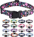 Mihqy Dog Collar for Small Dogs Puppy Cats,Fashion Design, Floral,XS | Neck Fit 7.9"-11.8", Multiple Patterns，4 Sizes for Small Medium Large Dogs, Comfortable for Walks and Outdoor Hikes by Mihqy