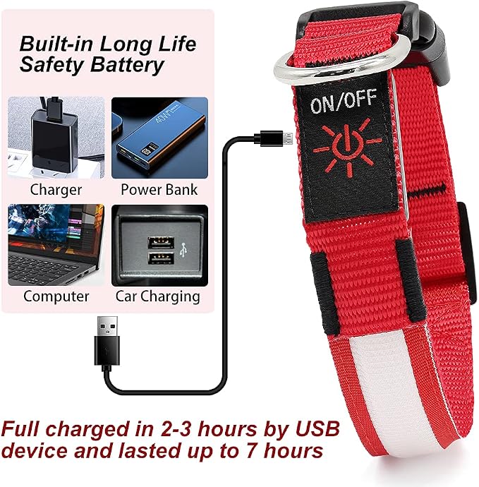 LED Dog Collar, Dog Light Up Collar,for Night Walking (Red, Medium) | Adjustable,Waterproof,Nylon,Soft,Super Bright Light Collars for Small Medium and Large Dogs,USB C to Charge - Image 2