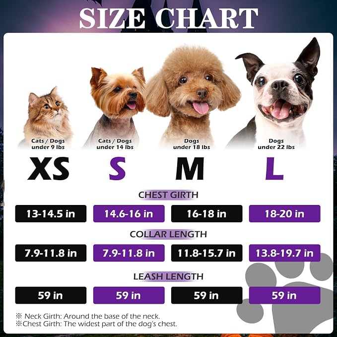 Halloween Puppy Harness - Dog Collar and Leash - Soft Mesh Padded Adjustable Step in Small Dog Vest Harness No Pull, Reflective Escape Proof for Outdoor Walking, Purple S - Image 2