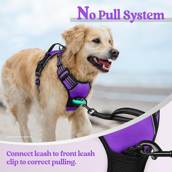 rabbitgoo Dog Harness, No Pull for Small Dogs with 2 Leash Clips, Pet Vest | No Choke with Handle, Adjustable Soft Padded, Reflective, Easy Control for Walking, Purple, Small - Image 5