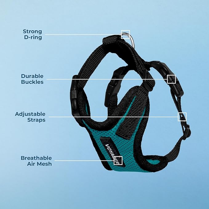 Voyager Step-in Lock Dog Harness - Turquoise/Black Trim, X-Small | 13 - 16" in Chest, Adjustable, Breathable Air Mesh, Lightweight for Daily Walks, Strong Clips, Heavy Duty D-Ring - Image 4