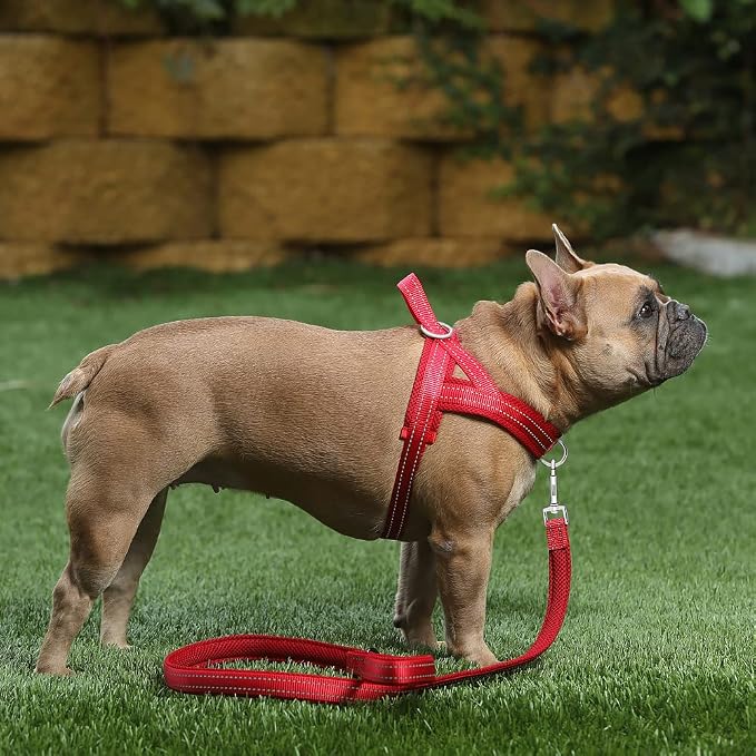 Plutus Pet No Pull Dog Harness for Medium Sized Dog, Breathable Mesh Padded | Adjustable Reflective with Handle, Escape Proof, Quick Fit Pet Vest, Front Clip, for Training and Walking, Red, M - Image 5
