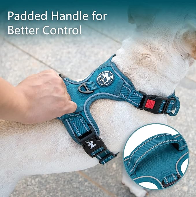 PoyPet No Pull Dog Harness, Reflective Vest with 2 Leash Clips & Handle | Lockable Neck Release Buckle, No Choke, Adjustable, Soft Padded, for Walking Training, Tumalo Teal, Large - Image 4