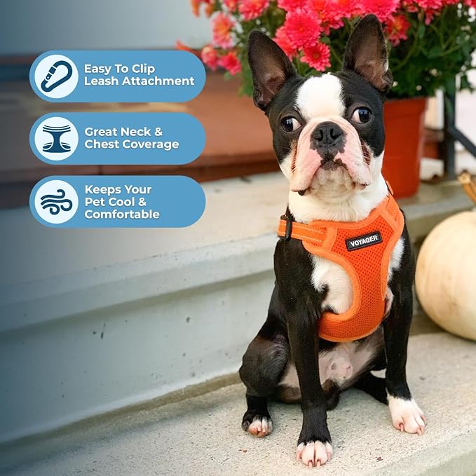Voyager Step-in Flex Adjustable Dog Harness - Orange, X-Large | 23 - 28" in Chest, Fully Adjustable, Reflective Bands, All Weather Breathable Air Mesh, Lightweight, Fast Drying - Image 5