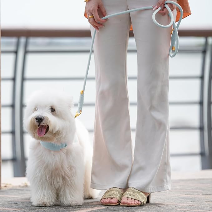 5FT Dog Leash 5/16 inch Puppy Cat Rope Lead | Light Blue, with Anti-tangle Swivel Clip, Comfortable Non-slip Grip Handle, Ideal for Daily Walks, for Small Medium Dogs - Image 9