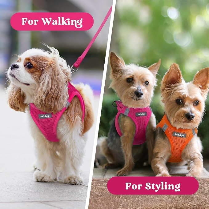 rabbitgoo Step-in Small Dog Harness, Puppy Vest for Small Sized Pet | Easy Put on and off, Lightweight, Soft, Breathable Quick-Dry Air Mesh for Comfortable Secure Walking, Rose Red XS - Image 9