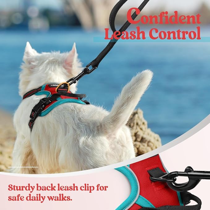 rabbitgoo Dog Harness, No Pull for Small Dogs with 2 Leash Clips, Pet Vest | No Choke with Handle, Adjustable Soft Padded, Reflective, Easy Control for Walking, Red & Teal, X-Small - Image 6