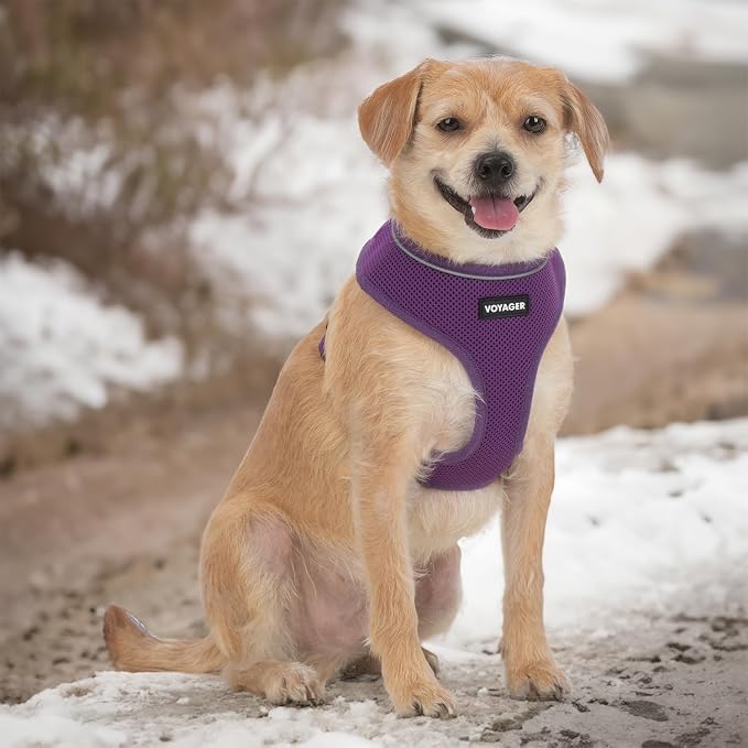 Best Pet Supplies Voyager Aerolite Over the Head Dog Harness, No Pull Breathable Air Mesh Vest, Quick Dry with Reflective Stitching, Adjustable Escape Resistant Harness - Purple, X-Large - Image 6
