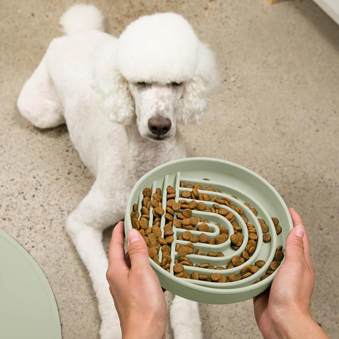 Should We Go? Slow Feeder Dog Bowls - Large Size Silicone Slow Eating Dog Bowl for Puppies & Dogs with Suction Cup -Dishwasher-Safe, Lick Mat Design, Reduces Gulping,for All Breeds,9.5”x1.5”- Sage - Image 5